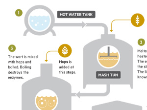 Beer brewing process